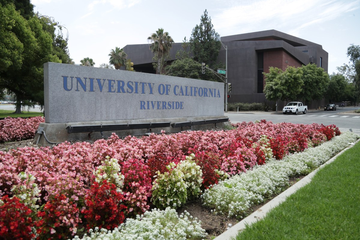 The University of California, Riverside entrance sign surrounded by colorful flower beds.